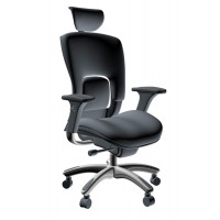 GM Seating Ergolux Ergonomic Executive Leather High Back Chair GMVAPLB